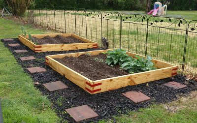 Gardening Projects