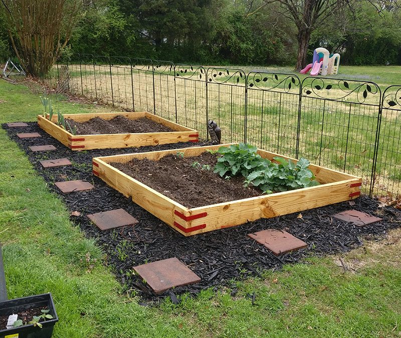 Gardening Projects