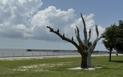 Trees