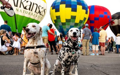 Arkansas: The Natural State, The Land of Opportunity