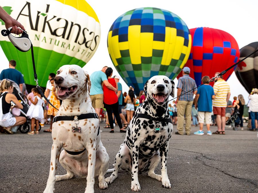 Arkansas: The Natural State, The Land of Opportunity