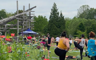 Finding Stillness in a Busy World: Exploring Meditation Apps and Practices